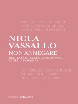 cover image of Non annegare